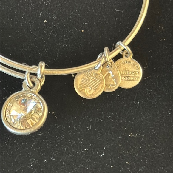 Alex and Ani Silver Charm Bracelet with Butterfly and Medallion - Picture 2 of 2
